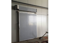 आसान स्थापित वाणिज्यिक फ्रीजर दरवाजे, ठंडा कमरे के लिए 100 मिमी मोटाई अछूता दरवाजे